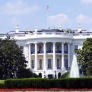 white-house